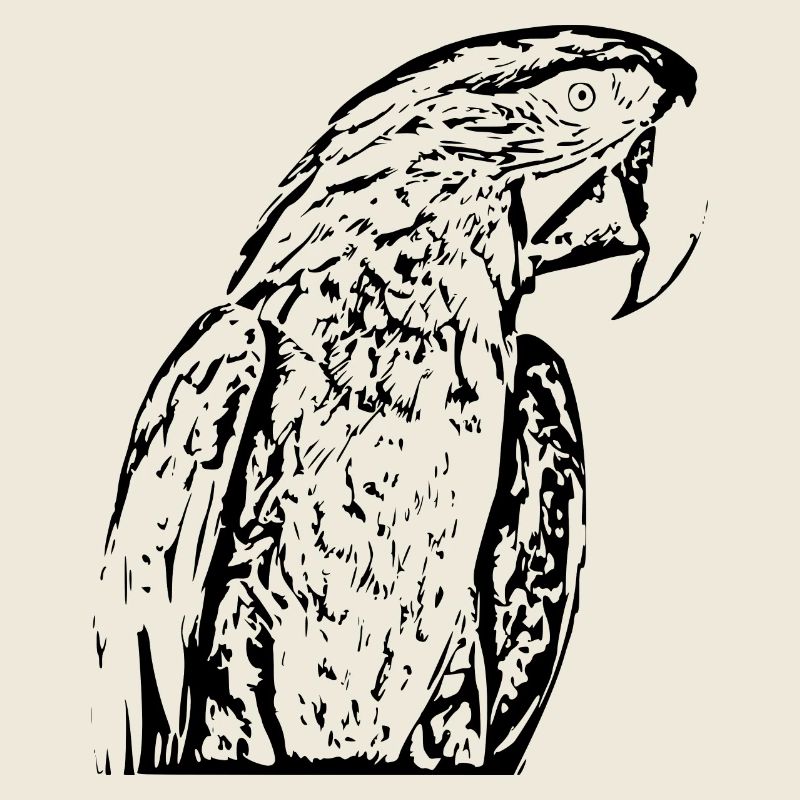Parrot Bird Black