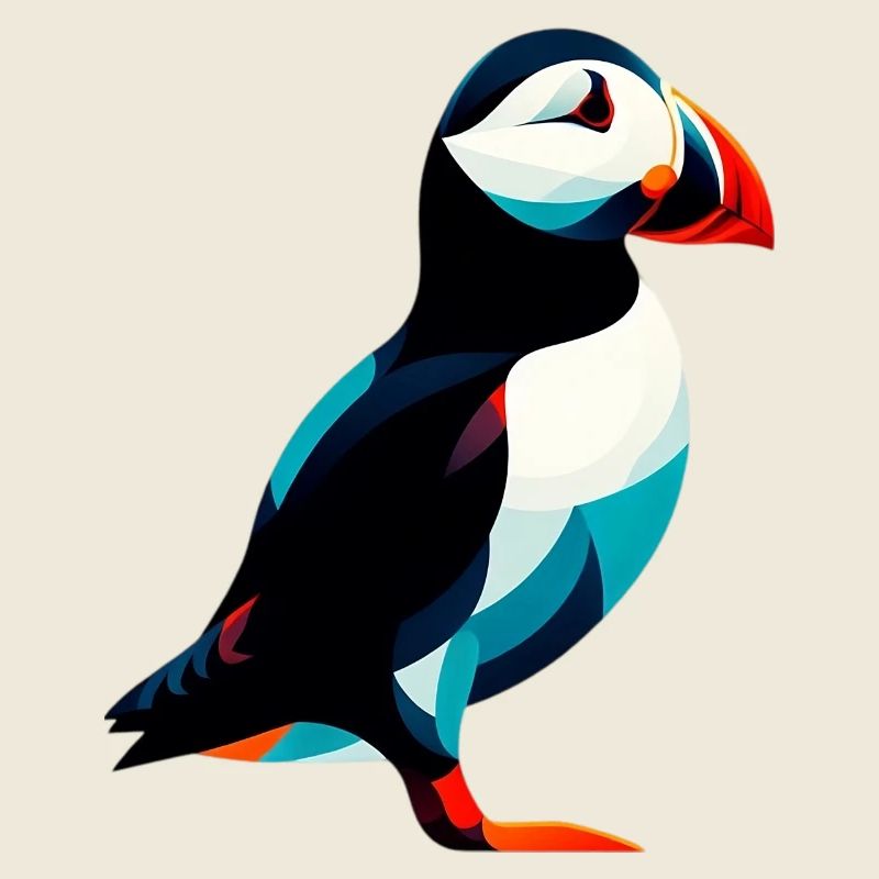Puffin