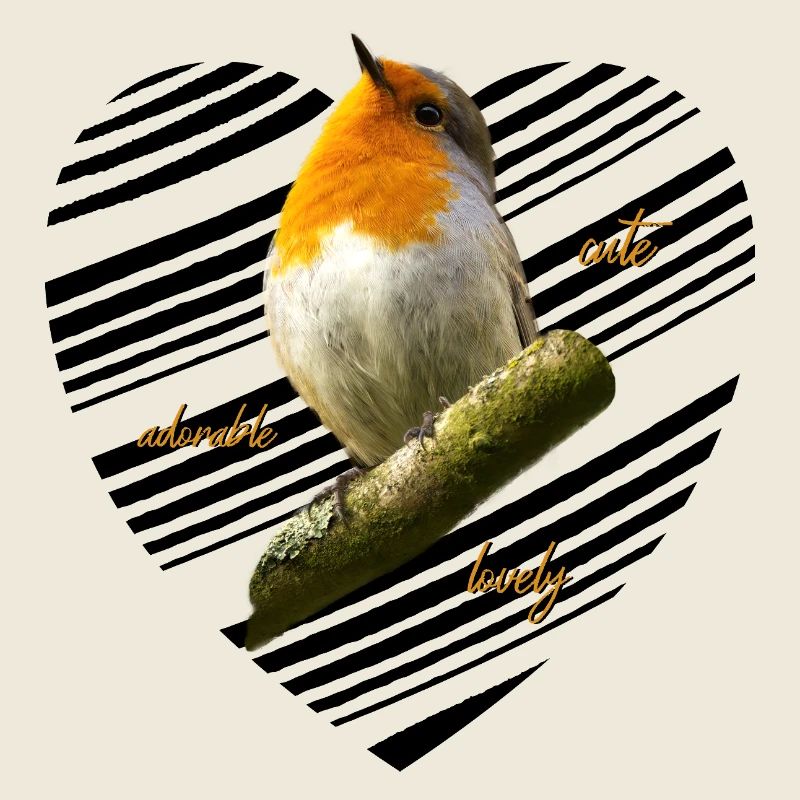 Rotkehlchen Singvogel