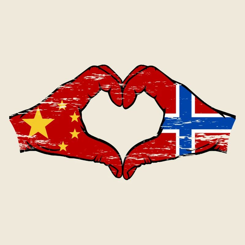China Norwegen Flagge Hände Herzform used