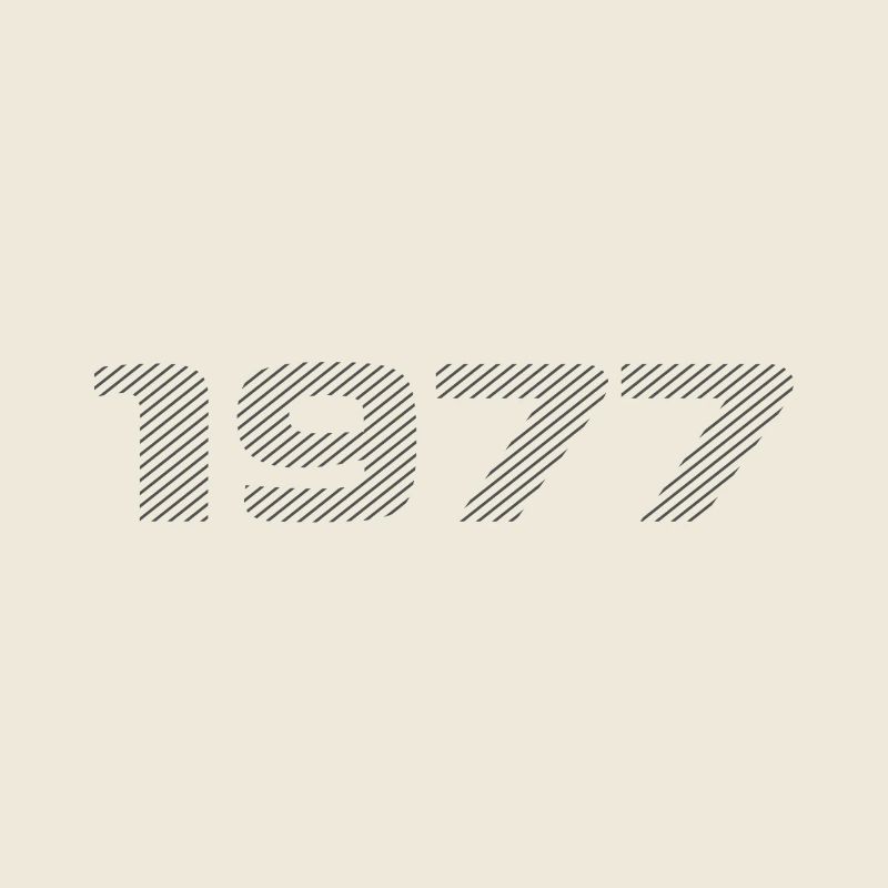 Né en 1977 Retro Stripe Design d’anniversaire moderne