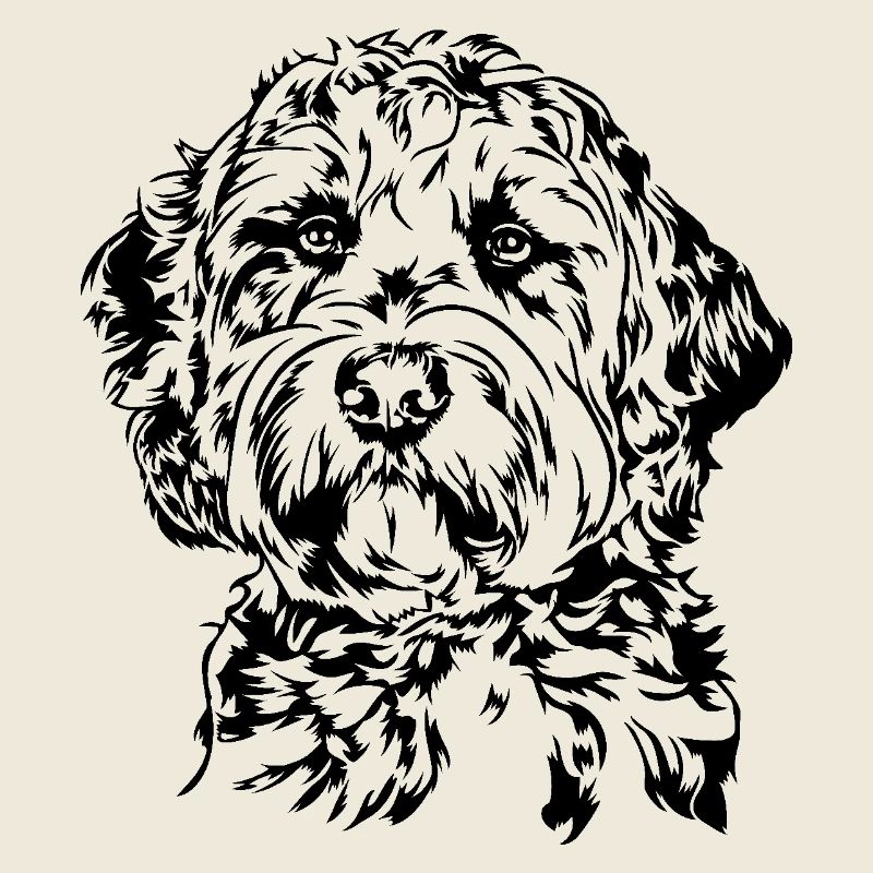 Goldendoodle Portrait Labradoodle Chiens Wilsigns