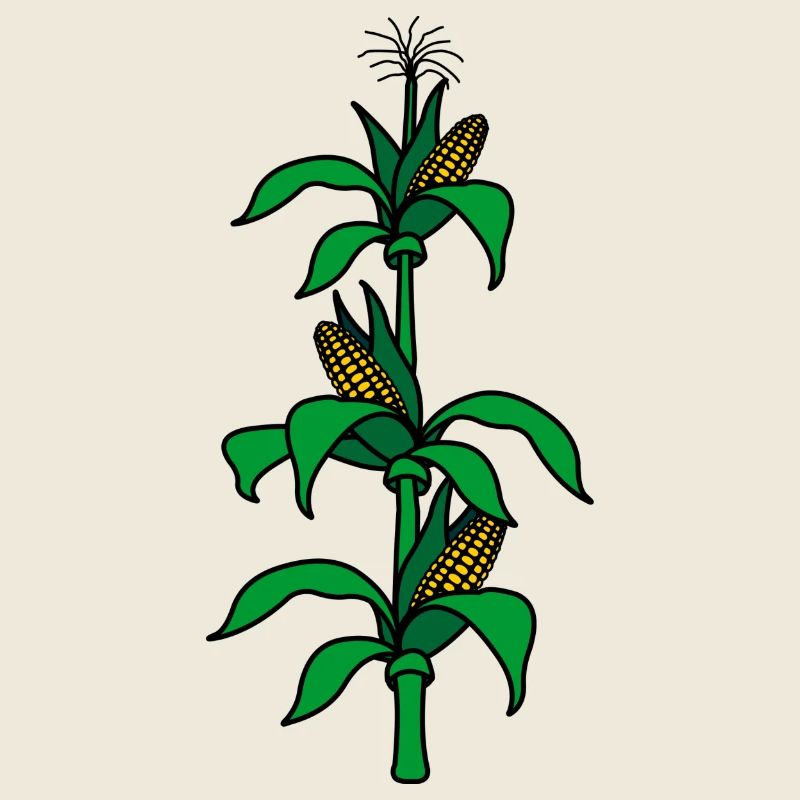 Corn stalk logo for corn harvest