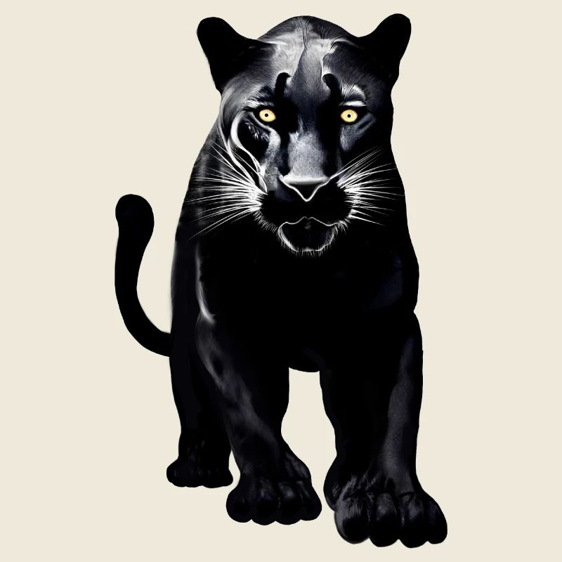 Schwarzer Leopard