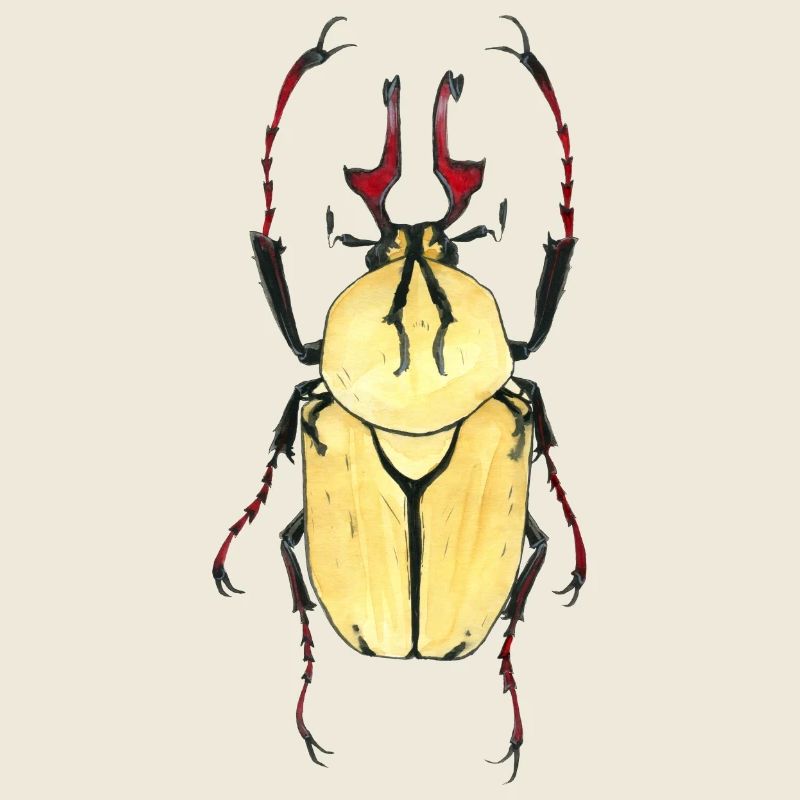 kaefer heller Panzer rotes Geweih