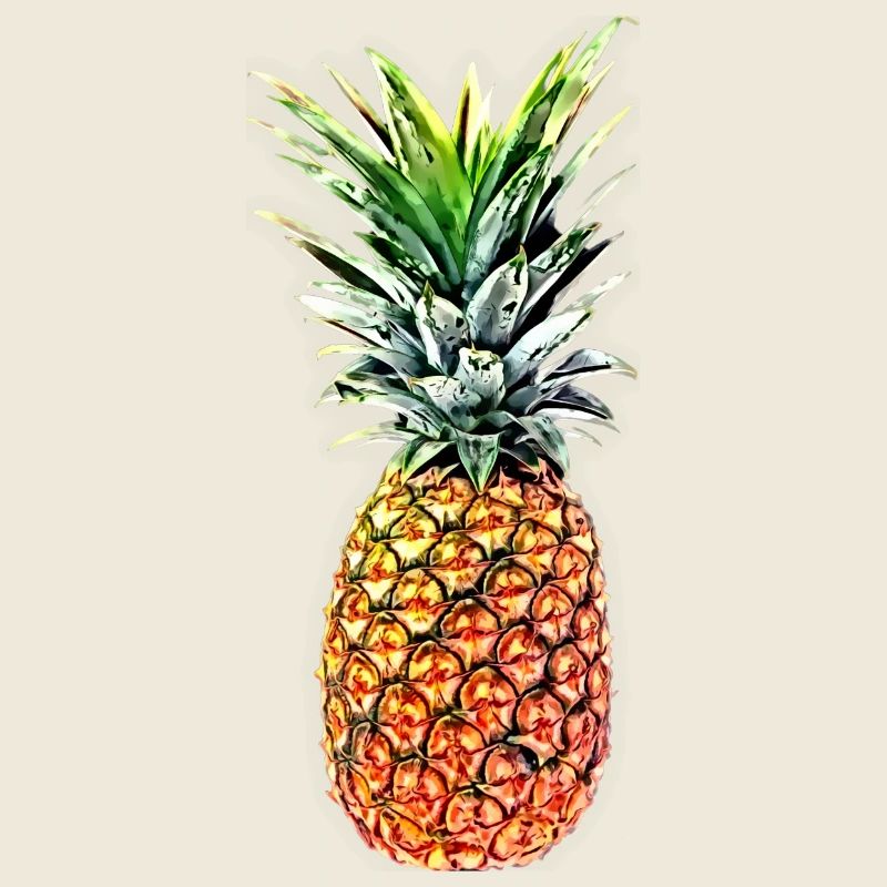 Ananas princesse