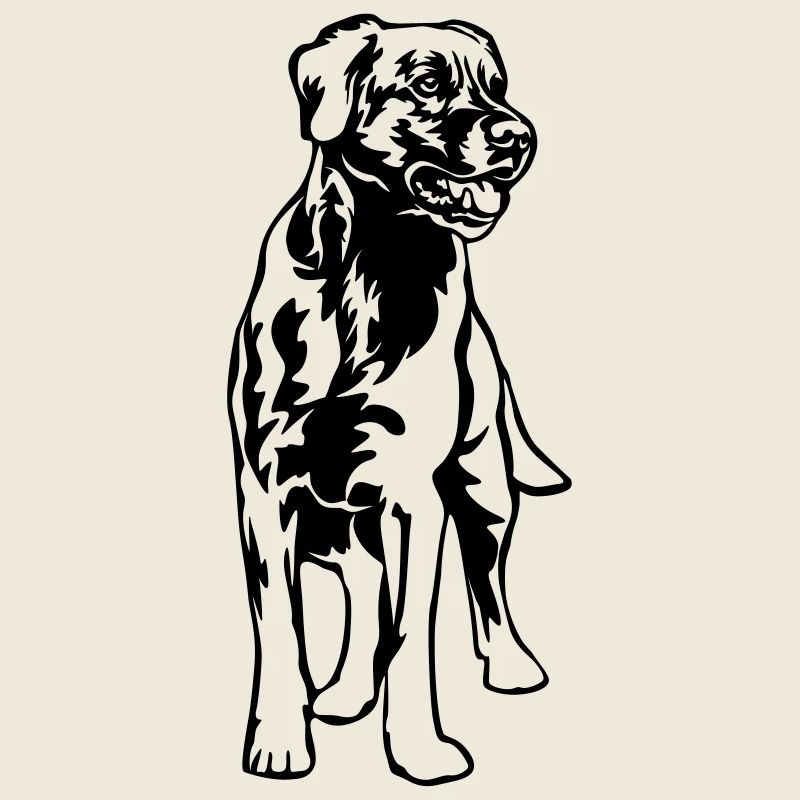 Labrador
