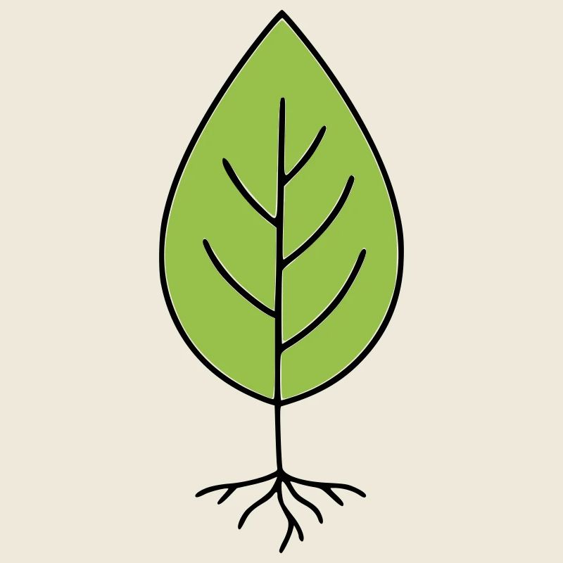 Motif feuille minimaliste vert