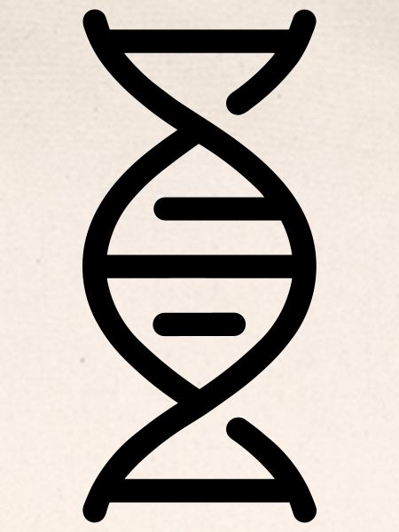 DNS