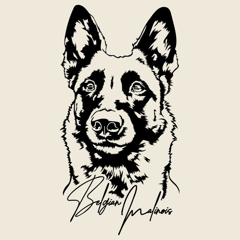Belge Malinois Portrait Chien Chiens Wilsigns