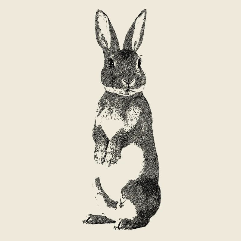 Hase sw