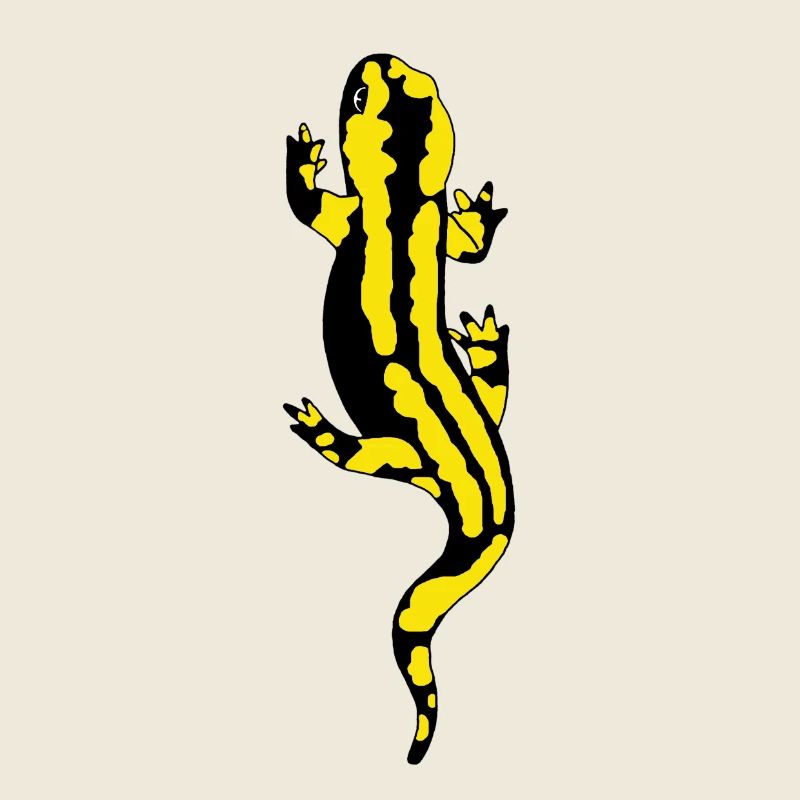 Salamander