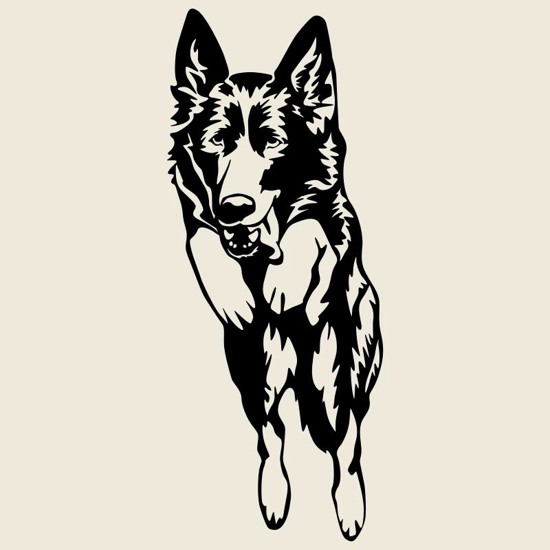 German shepherd dog