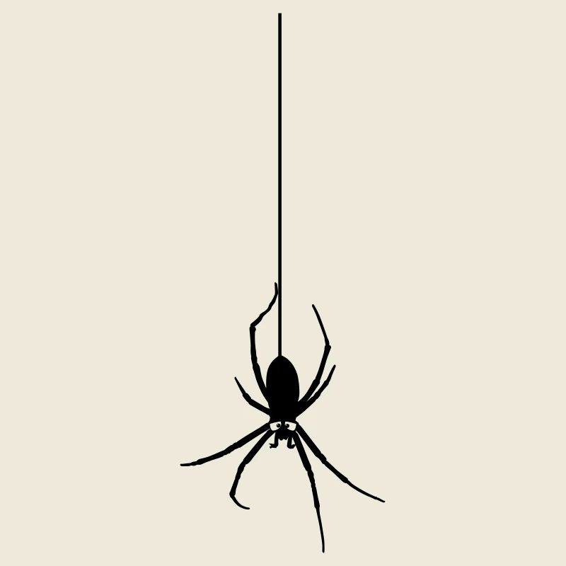 Araignée