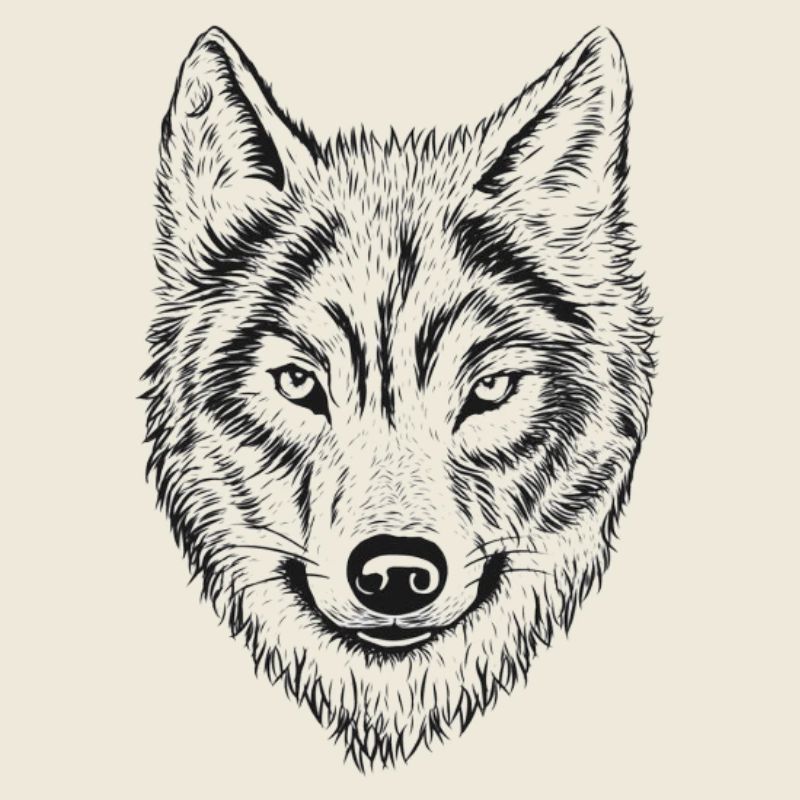 Dessin au trait de Wolfenkopf
