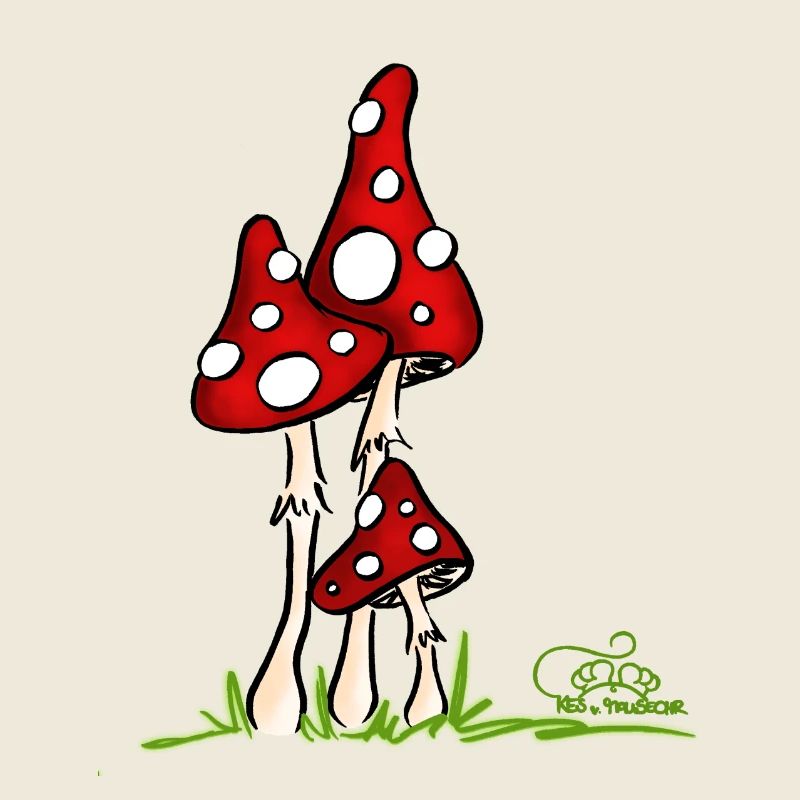 Muchotravky - Toadstools