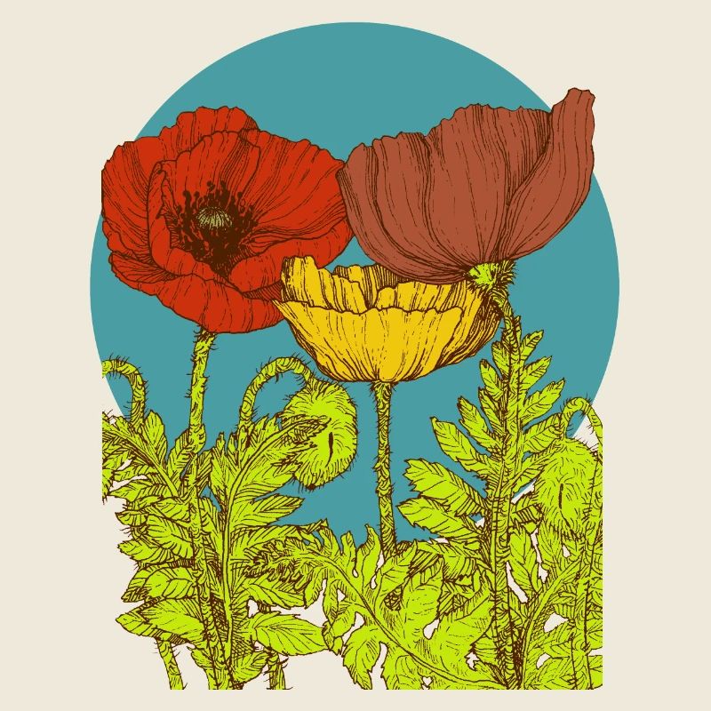Mohnblumen