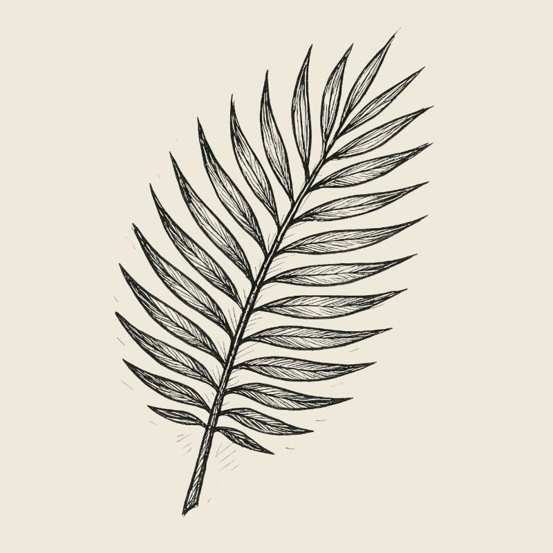 Black Palm Leaf Sketch