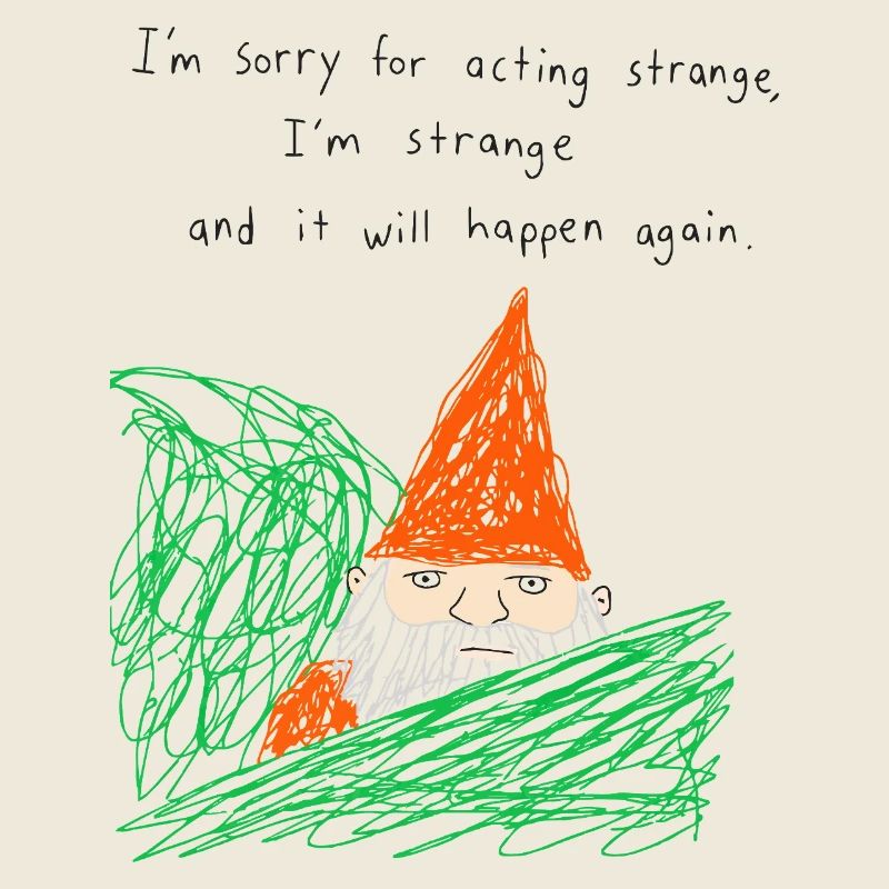 Sorry For Acting Strange Gartenzwerg Meme