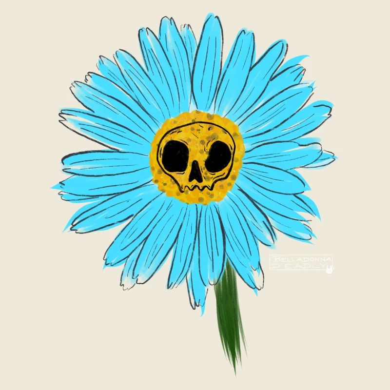 Marguerite Bleue