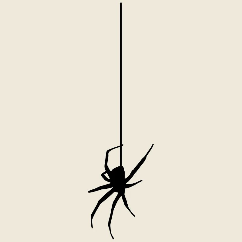 Spider on a thread
