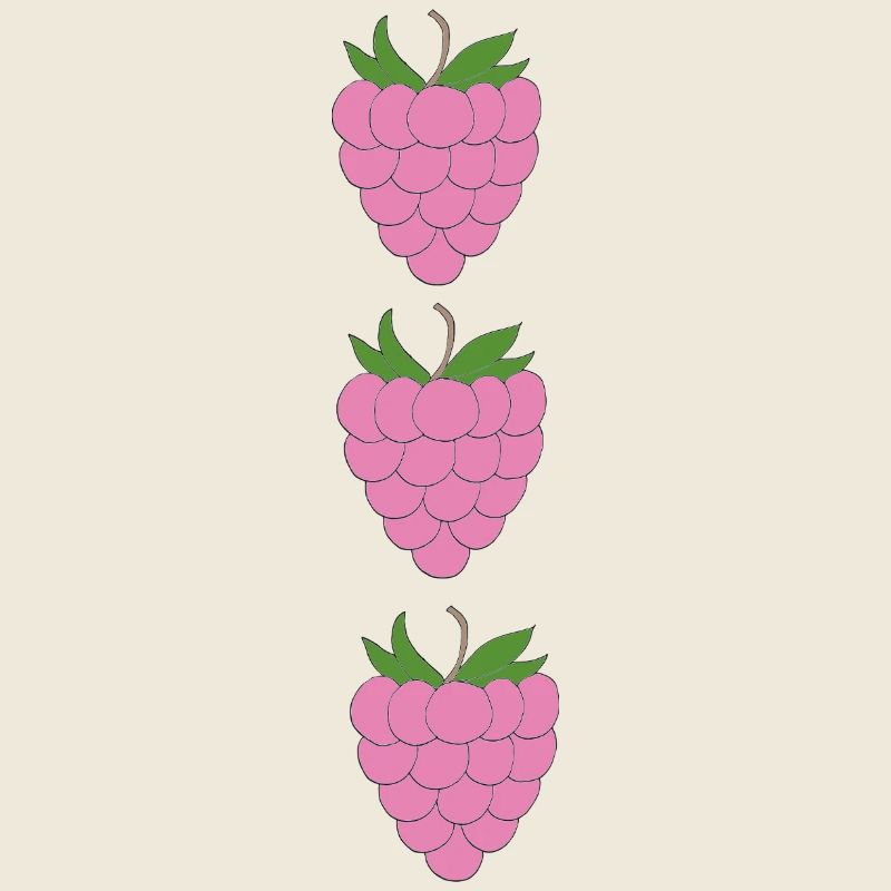 raspberries trio pattern