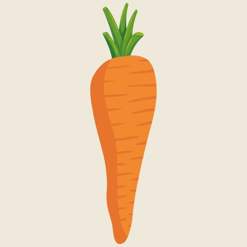Fresh carrot