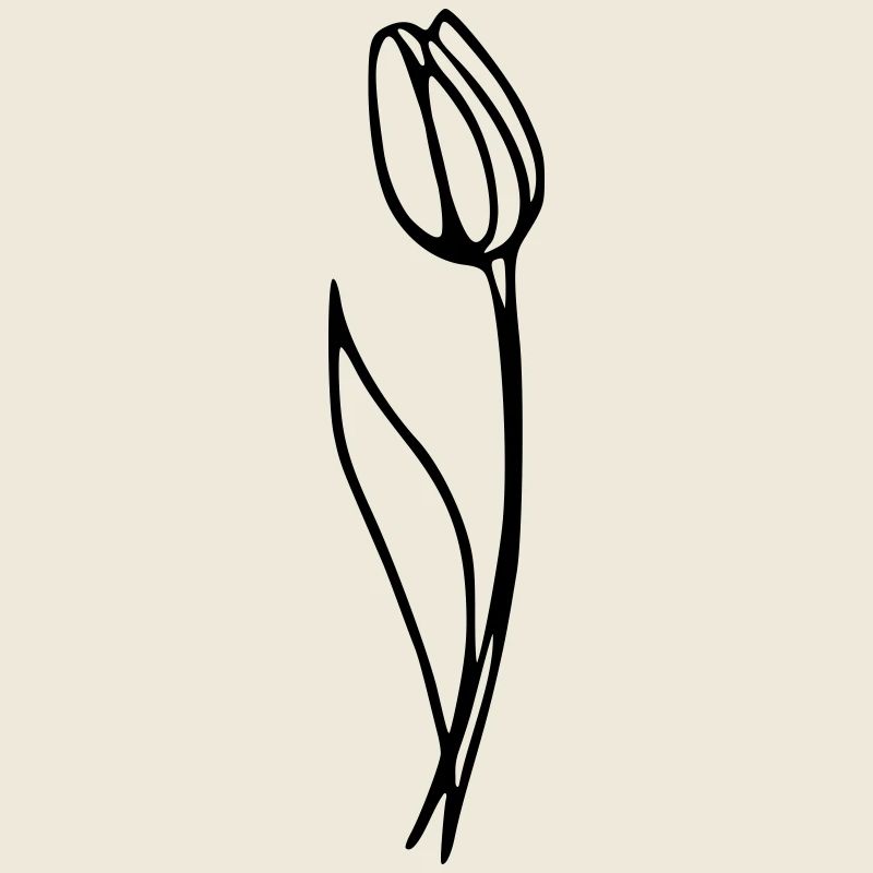 Tulipe