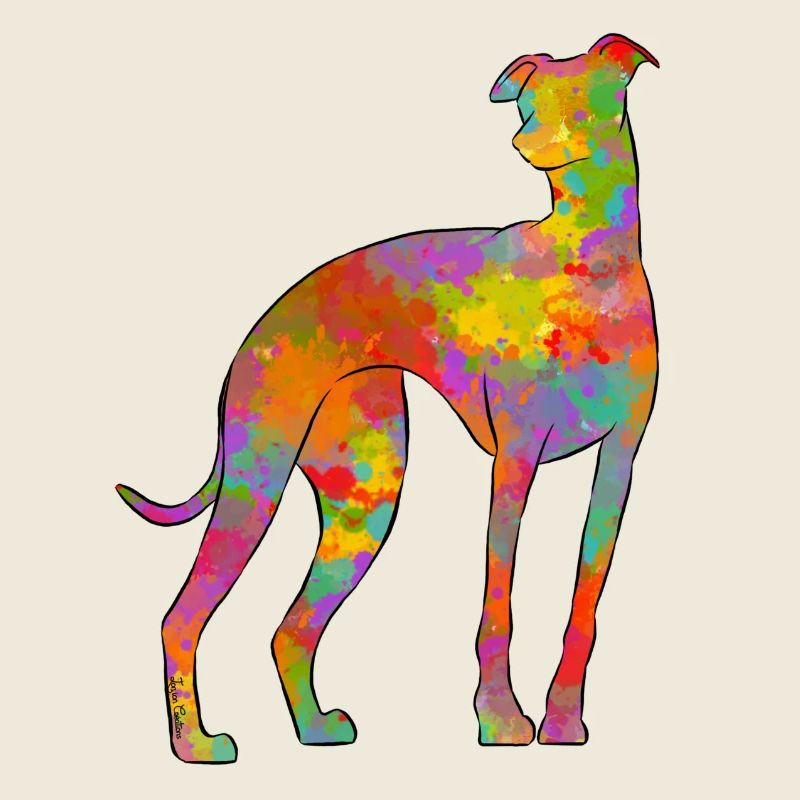 Whippet Multicolor 2