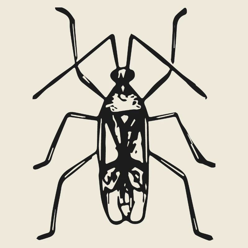 kaefer-01