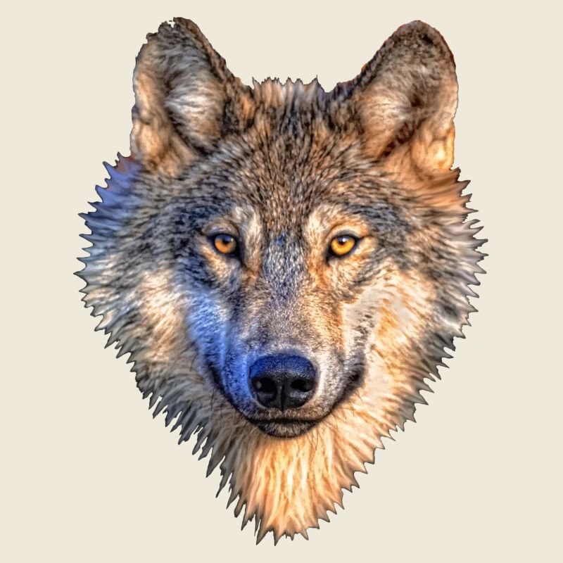 loup