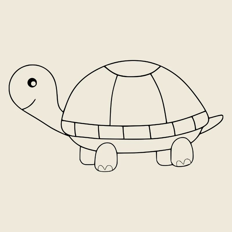Turtle Turtles