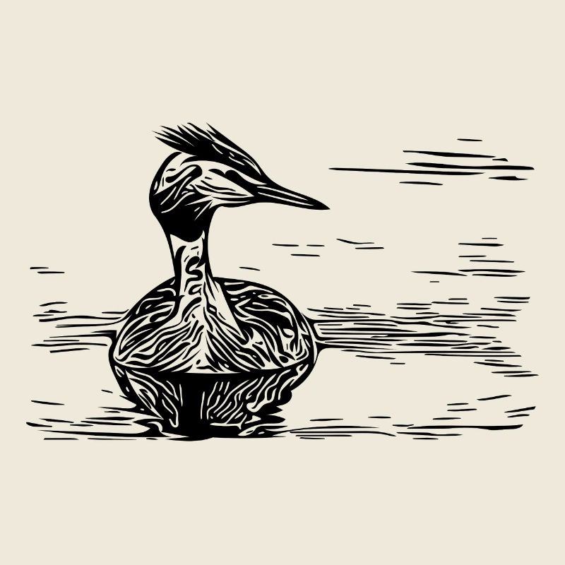 Grèbe à crête vintage flottant sur la rivière