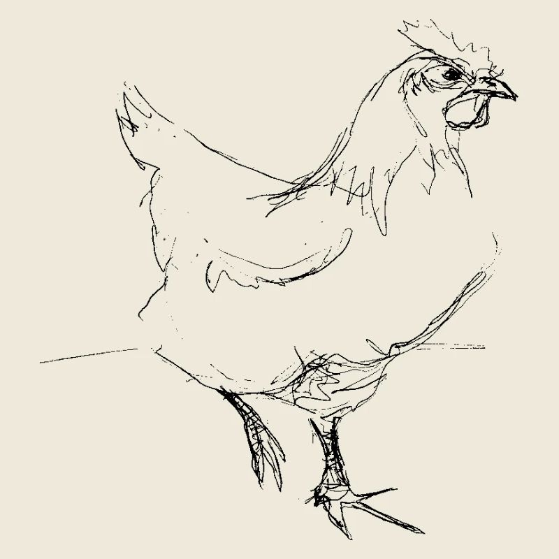 Poulet
