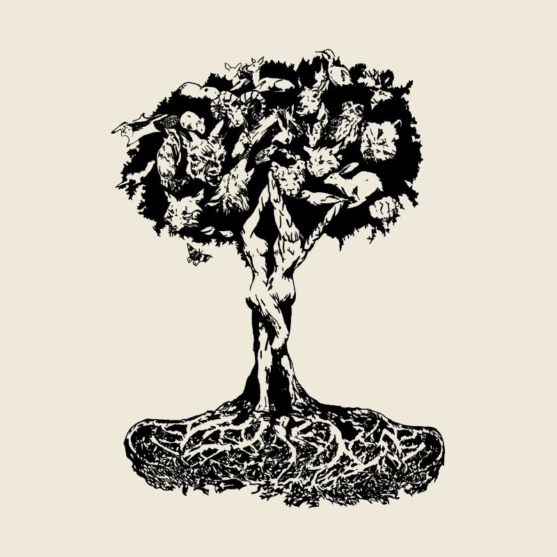 Synergiebaum