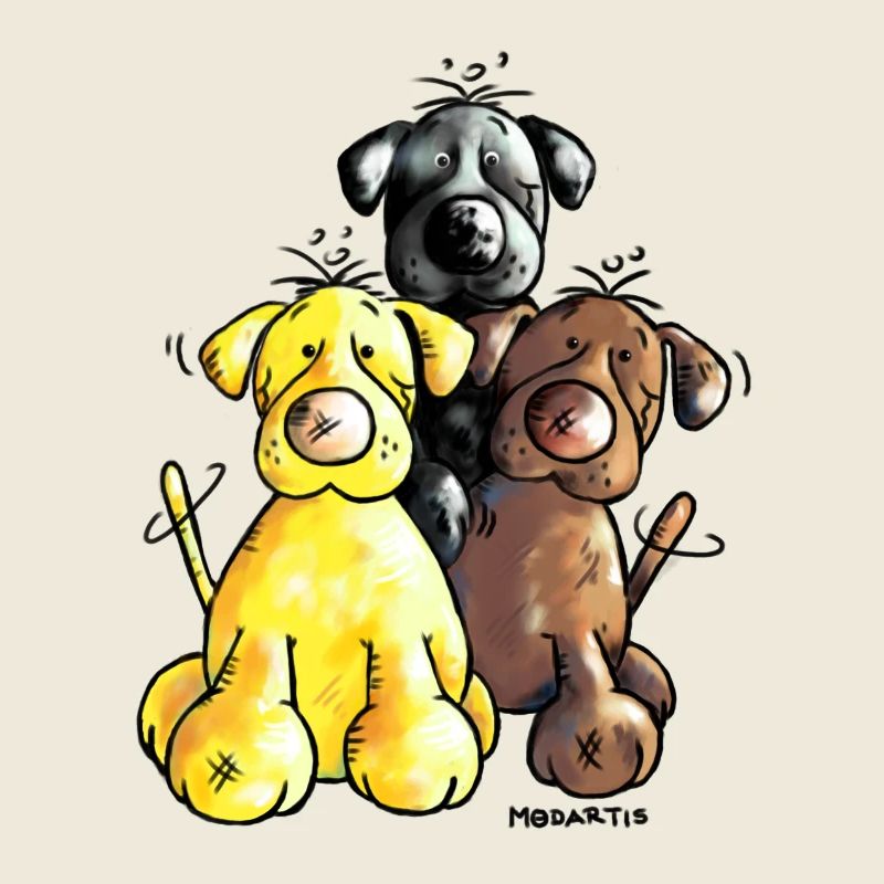 Labrador Retriever - Hund