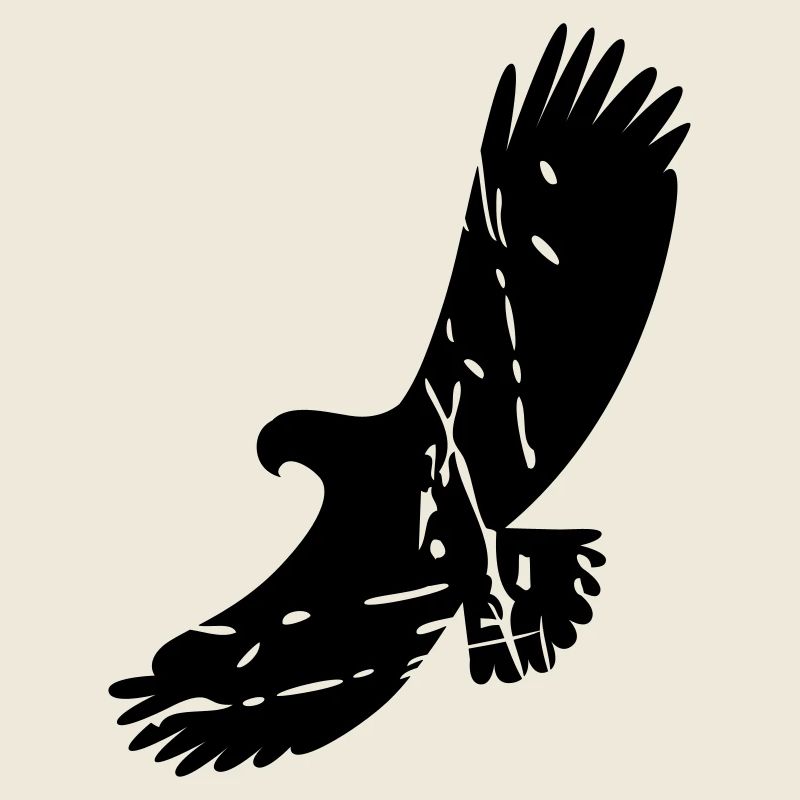 aigle