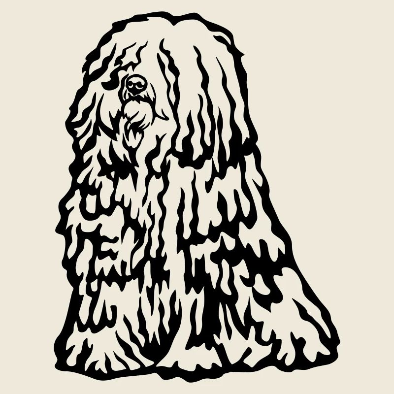Puli