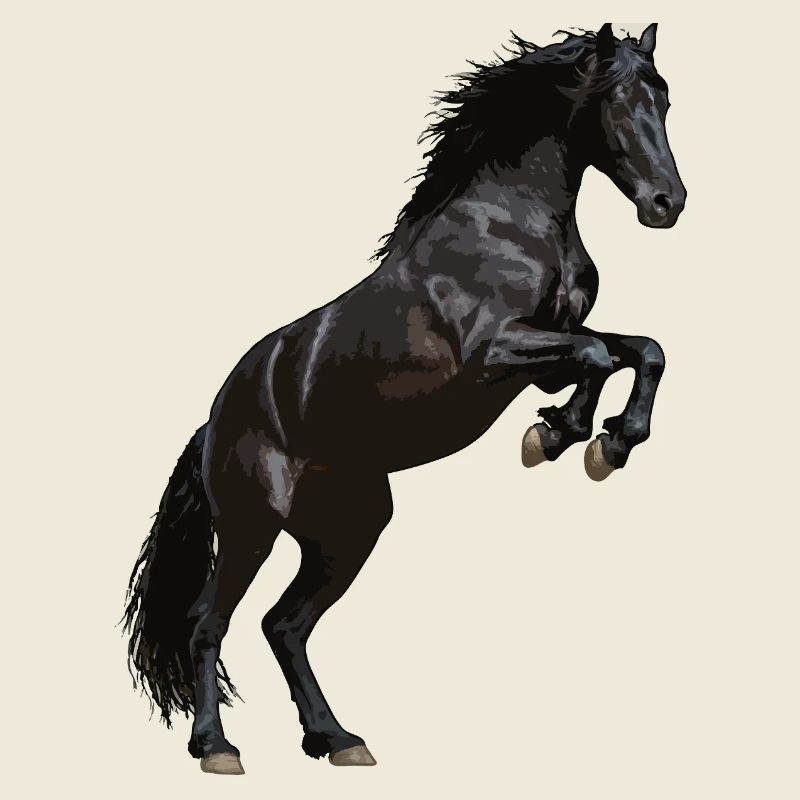 Friesian horse prancing