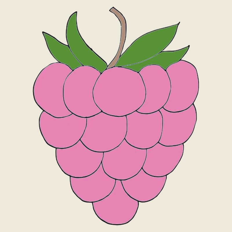 Pink Raspberry Illustration