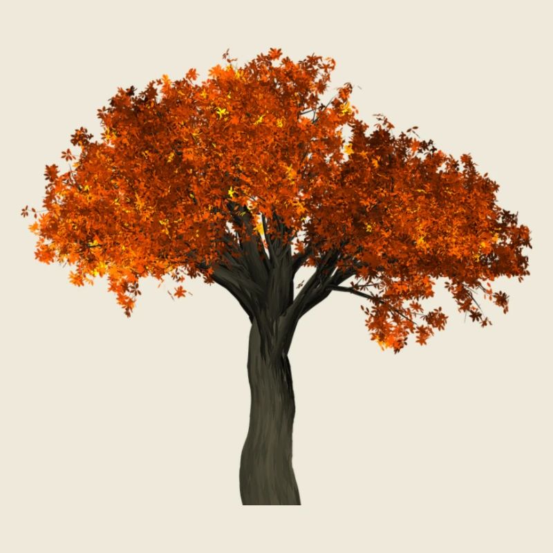 Baum mit orangen Blättern - Herbst