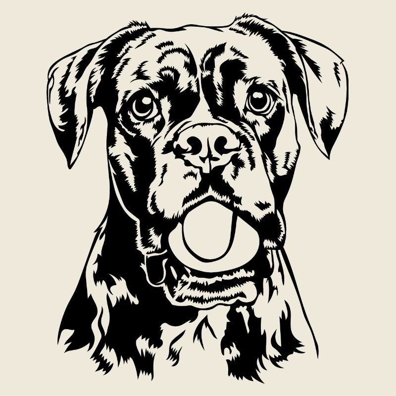 Boxer Ball Ball Junkie Chien Chiens Wilsigns