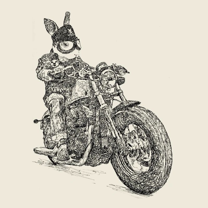 Bunnyrider
