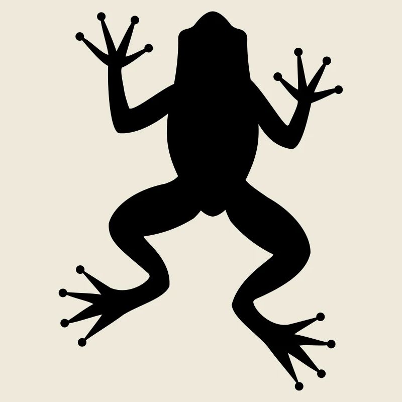 Frog toad tree frog silhouette