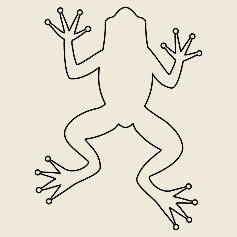 Frog toad tree frog silhouette