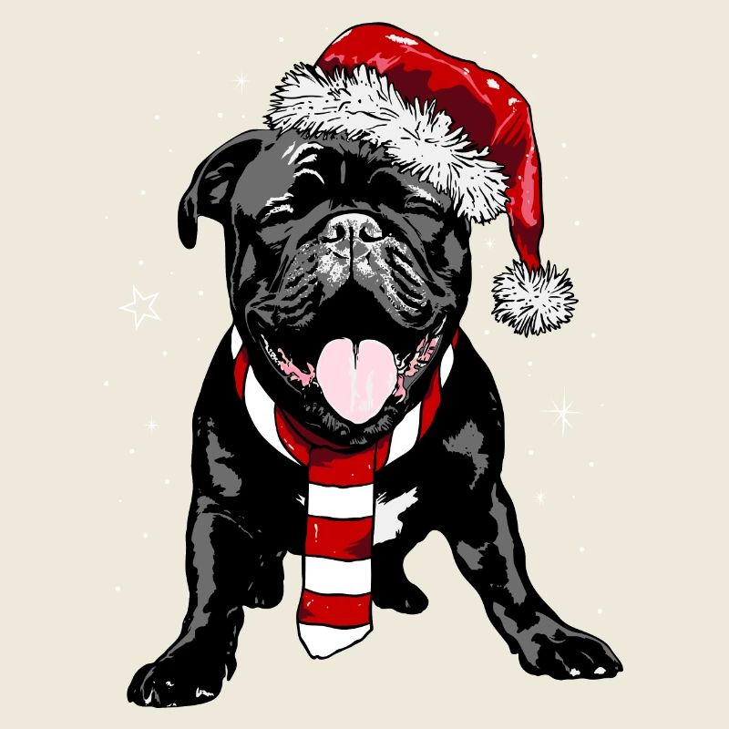 Cute Frenchie with Santa hat and scarf