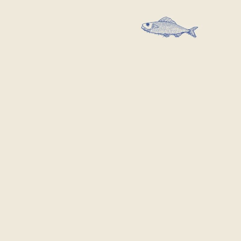 Sardine Visual Gift Nautical Maritime Trend