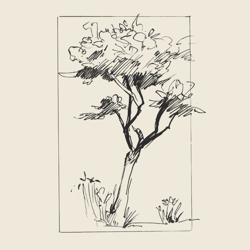 Tree sketch