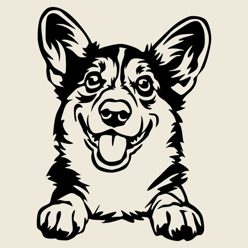Welsh Corgi
