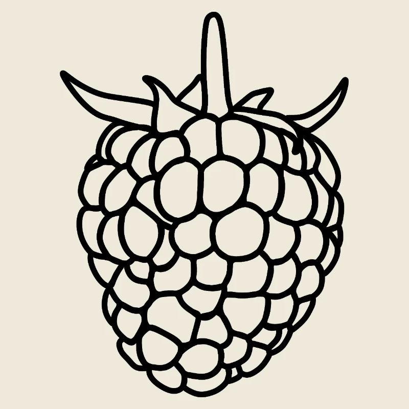 Raspberry Silhouette
